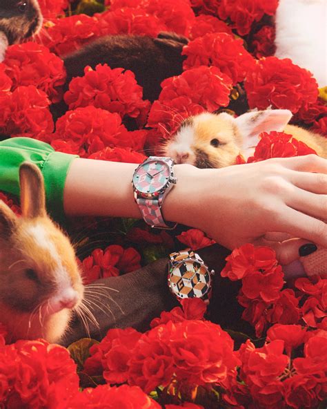 gucci year of the rabbit|gucci new year collection.